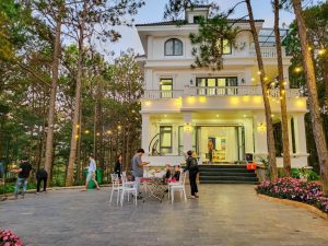 Villa Đà Lạt D481